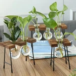 Hydroponic Vase Glass Bulb Wooden Stand Indoor Propagation Planter. Fixed Price $21.38.