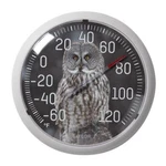 Taylor Owl Dial Thermometer Plastic Multicolored (case Of 4). Fixed Price $59.95.