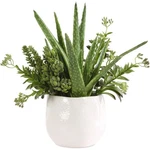 Uttermost 60244 Sundown Succulent Green And White Accent Planter. Fixed Price $345.60.