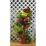 Flip Flop Flower Pot 301W Stackable Plant Stand. Fixed Price $25.25.