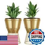 Ecomosita Planter Stand Gold Metal Pot - 12 Inch Unique Modern. Fixed Price $119.98.