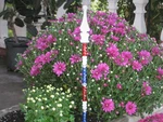 Garden Stakes Landscape Planters Farm Pots Yard Art Flags Flowers Decor Statues. Fixed Price $11.49.