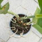 Large Hanging Plant Stand Iron Hook For Flower Pots Indoor Outdoor Decor. Fixed Price $8.99.