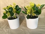 2 Pack Potted Faux Green Leaf Plant Indoor Decorative Use Threshold Free Ship. Fixed Price $14.50.