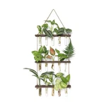 Mkono Plant Propagation Tubes, 3 Tiered Wall Hanging Terrarium ... Fast Usa Ship. Fixed Price $27.47.