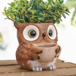 Unique Owl Plant Pots Indoor, Cute Small Succulent With Drainage Hole, W.... Fixed Price $32.79.