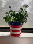 Stars And Stripes All American 8 Inch Plant Pot Drainage Hole Saucer New. Fixed Price $32.99.
