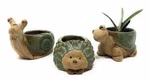 Cute Animal Succulent Planter Pots 3 Pack Turtle Snail Hedgehog. Fixed Price $23.99.