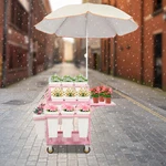 Metal Garden Cart Plant Stand Slide Out Rolling Flower Display Rack For Florist. Fixed Price $253.22.