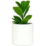 Fox & Fern Plant Pot, Large Pots For Indoor Outdoor, Uv Frost Resis.... Fixed Price $96.49.