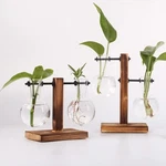 Hydroponic Vase Glass Bulb Wooden Stand Indoor Propagation Planter. Fixed Price $20.67.