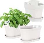 6 Pack Indoor Herb Planter Pots W/ Trays Labels Windowsill Garden Kit. Fixed Price $24.95.
