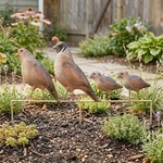 Regal Quail Family Yard Art. Fixed Price $45.25.