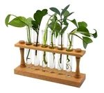 Hbarsci Premium Plant Propagation Station With Hardwood Stand & 6 Test Tubes. Fixed Price $27.99.