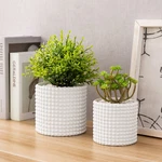 Mygift Set Of 2 White Ceramic Vintage Style Hobnail Textured Flower Planter Pots. Fixed Price $27.99.