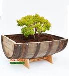 1/2 Whiskey Barrel Trough Planter. Fixed Price $399.00.