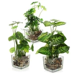 Artificial Plants 9.5 Inch Small Potted Clear Glass Mygift Fake Indoor Faux. Fixed Price $51.99.