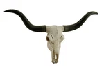 Zeckos Handcrafted 20 Inch Black & Bone Longhorn Trophy Skull Wall Sculpture. Fixed Price $62.46.
