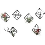 Mkono 5 Pack Air Plant Holder Geometric Metal Stand Light Bronze Wedding Decor. Fixed Price $16.00.