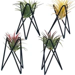 Modern Geometric Air Plant Holders Pack Of 4 Metal Display Stands. Fixed Price $19.65.