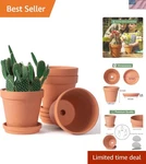 6 Inch & Clay Pots For Plants With Saucer, Medium Plan.... Fixed Price $46.22.