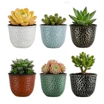 Garden Plastic Round 8 Inch Planters For Indoor Plants Set Of 6 Outdoor Resin.... Fixed Price $47.99.