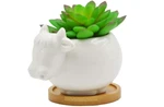 Cuteforyou Succulent Pots, Animal Cow Shaped Cartoon Ceramic Pot, Storage. Fixed Price $11.99.