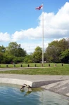 Photo 12X8 Geese & Flagpole, Heath HAMPSTEAD/TQ2685 On Green C2017. Fixed Price $8.07.