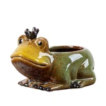 Cute Animal Ceramic Flower Pot Succulent Planter-frog. Fixed Price $23.79.