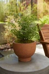 Round Terracotta Footed Planter Compote For Plants And Home Decor. Fixed Price $69.99.