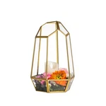 Ncyp Geometric Glass Terrarium - Irregular Brass Planter Pot Fo... Usa Fast Ship. Fixed Price $42.90.