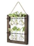 Mkono Double Layer Wall Hanging Glass Planter And Air Frame. Fixed Price $29.99.