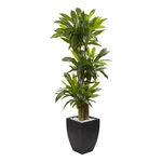 Nearly Natural 66" Corn Stalk Dracaena With Wash Planter In Green/black. Fixed Price $265.99.