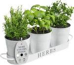 Indoor Herb Garden Planter Set With Tray, Metal Windowsill Pots Drain. Fixed Price $24.99.