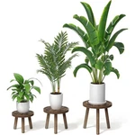 Indoor Plant Set Of 3 Wood Succulents Large Pots Durable Stylish Us. Fixed Price $31.54.