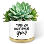 Funny Succulent Pots For Gifts Cute Ceramic Planters Indoor Plants. Fixed Price $20.79.