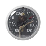 Taylor Nature Series Eagle Indoor 13.38 X W 1.25 H, Gray/black. Fixed Price $27.35.
