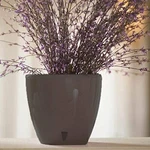 Self Watering Planter Deco. Fixed Price $33.99.