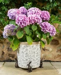 Potty Feet Hare Figures Planter Riser - Handmade Yard Art Ornaments 3PCS. Fixed Price $38.59.