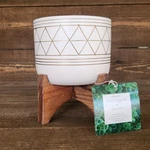 Flora Bunda 5" White Ceramic Planter With Wood Stand Gold Geometric Modern. Fixed Price $19.99.