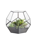 Ncyp Small No Door Terrarium Planter - 6.8" X 5.9" Open Geometric Glas.... Fixed Price $38.68.