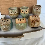 Ceramic Owl Succulent Mini Planter Pots Set 6 Boho Fairy Garden Rustic Desk. Fixed Price $24.99.