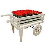 52.4X26X29.7" Solid Pine Wood Flower Cart Push Wagon Function Wheels. Fixed Price $443.03.