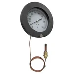 Analog Panel Mt Thermometer, 30 To 240F, 12U646. Fixed Price $81.39.