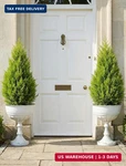 Sziqiqi Garden Metal Urn Planters: 22IN Tall For Outdoor Plants Set Of. Fixed Price $222.22.
