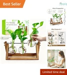 Plant Propagation Station With Wooden Stand 3 Glass Vases Indoor Garden Decor. Fixed Price $20.98.
