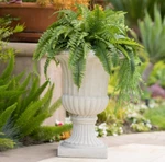 Urn Planter Garden Outdoor Pot Flower Novelty Stone White Classic Pedestal. Fixed Price $184.56.