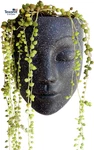 Wall Unique Face Planters Pots - Gifts For Indoor Lovers. Fixed Price $46.14.