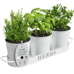 Best Barnyard Designs Indoor Herb Garden Planter Set With Tray, Metal Windowsill. Fixed Price $27.36.