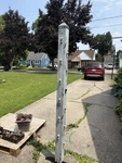 Tall Studio Art Pole Birch Wood Style Approximately 6FT In Height. Fixed Price $80.00.